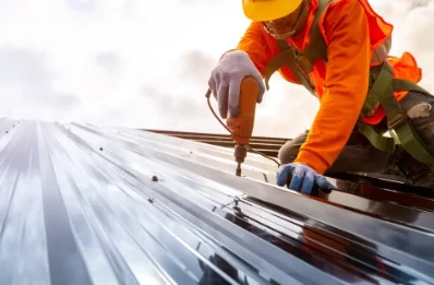 Travaux de zinguerie à Vienne-en-Val